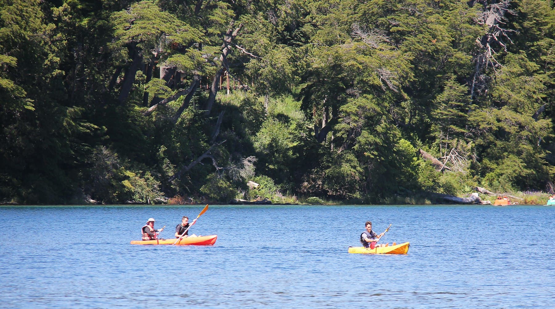 Kayakistas remando en un lago rodeado de bosque